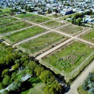 Nuevas oportunidades terrenos_gratis.jpg_792575817